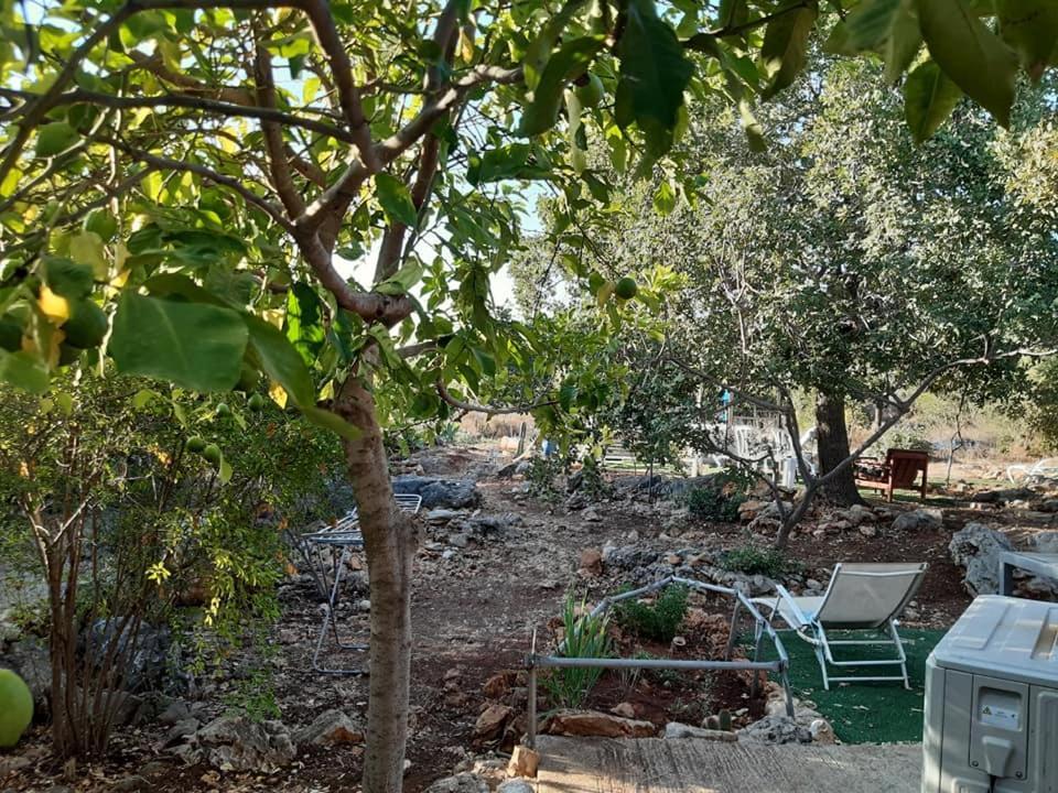 בקתת עץ בחורש במנות - דום גיאודזי - Wooden Cabin In Manot Exterior photo