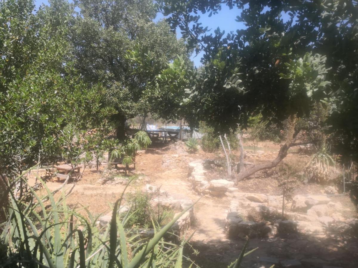 בקתת עץ בחורש במנות - דום גיאודזי - Wooden Cabin In Manot Exterior photo