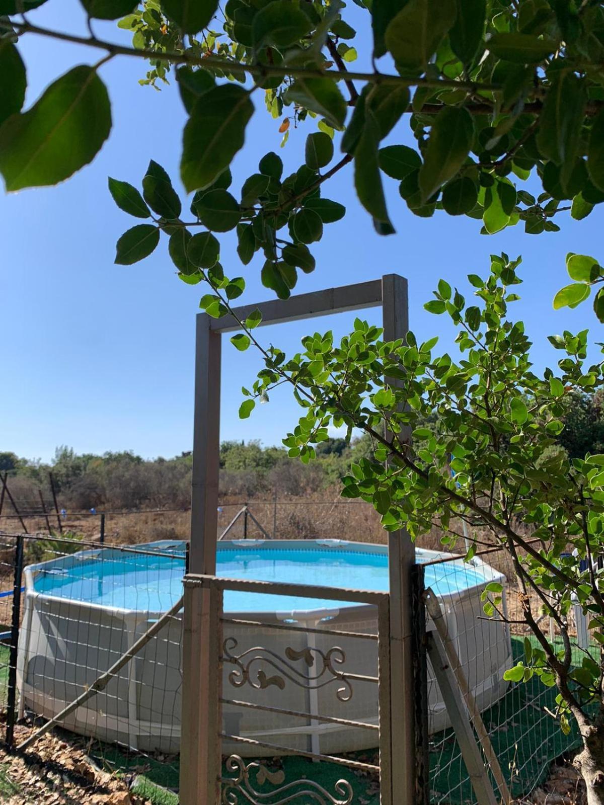 בקתת עץ בחורש במנות - דום גיאודזי - Wooden Cabin In Manot Exterior photo