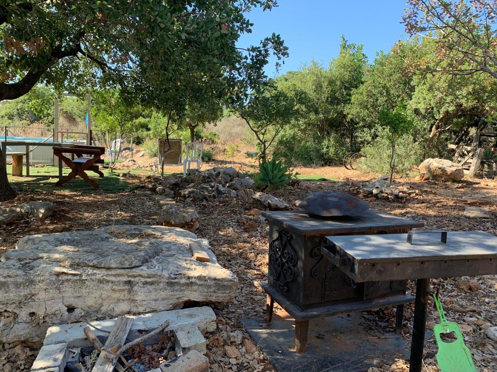 בקתת עץ בחורש במנות - דום גיאודזי - Wooden Cabin In Manot Exterior photo