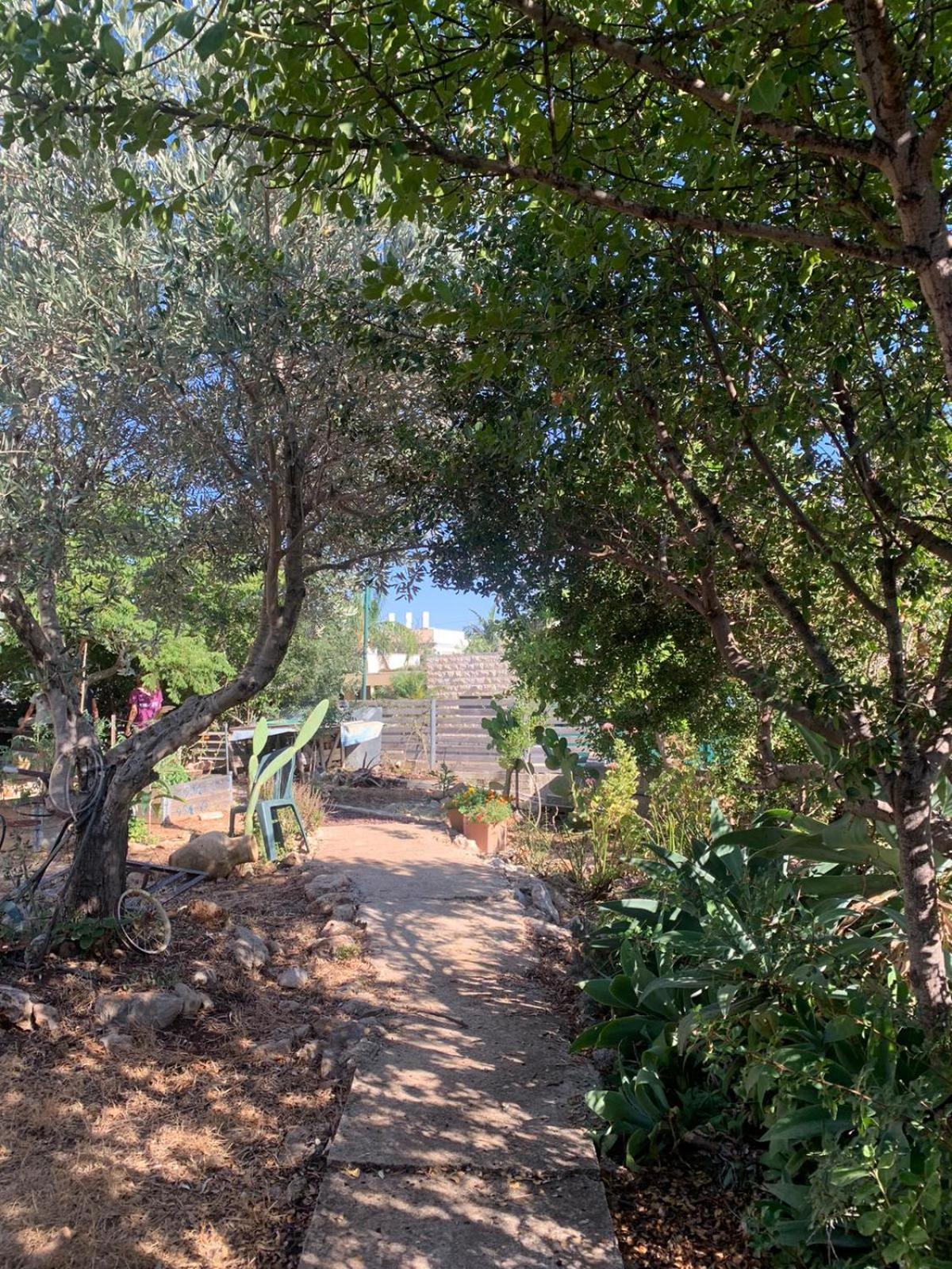 בקתת עץ בחורש במנות - דום גיאודזי - Wooden Cabin In Manot Exterior photo